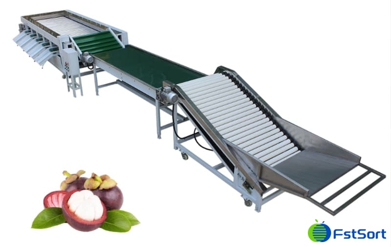 images/1670226904635mangosteen sorting machine.jpg